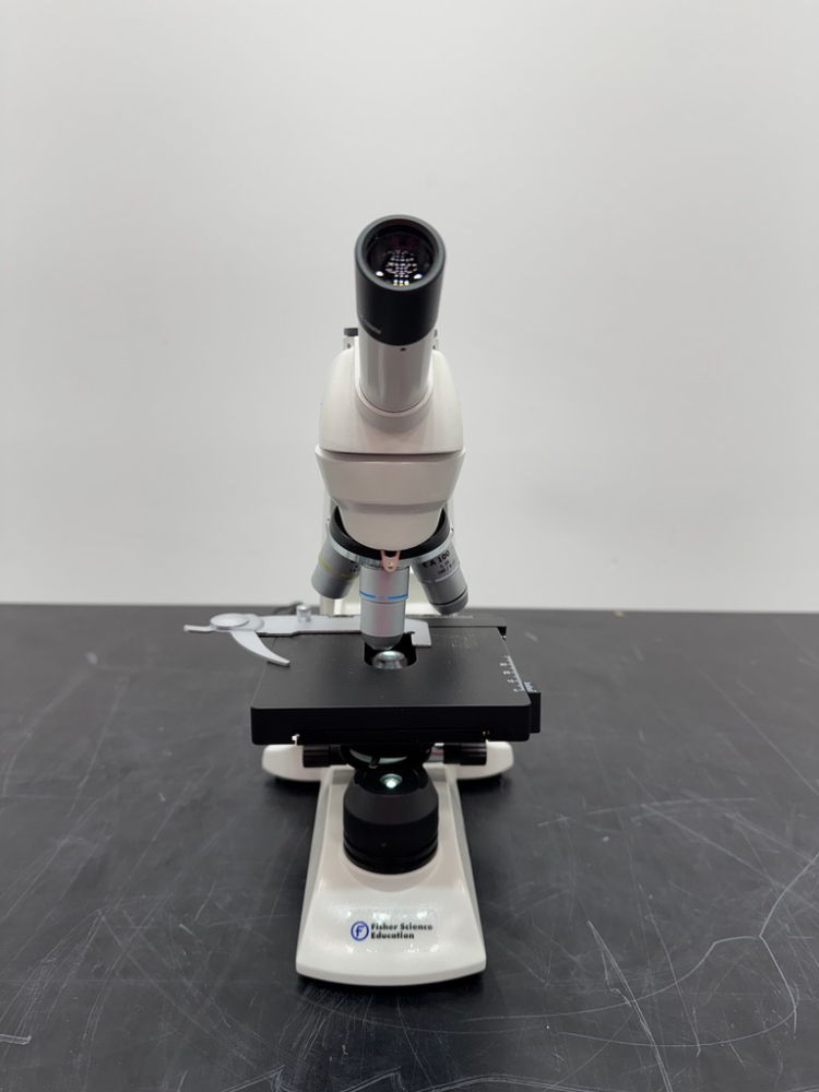 Image of Fisher Scientific Microscope